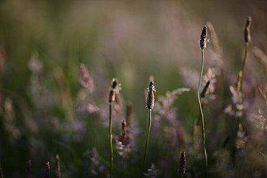 《永恒空间2》首个大型DLC泰坦上线 大量新内容